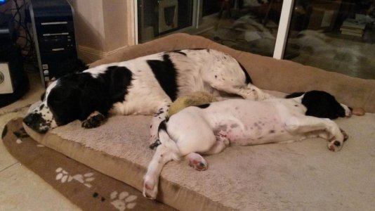 IMG_0087.jpeg IMG_0087.jpeg