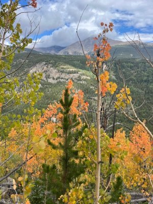 IMG_1436.jpeg IMG_1436.jpeg