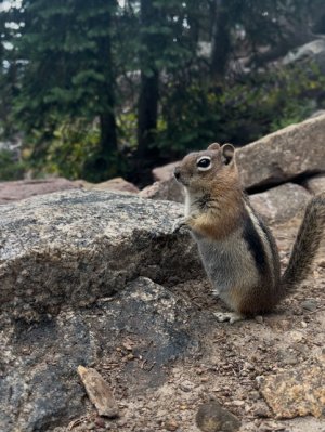 IMG_1444.jpeg IMG_1444.jpeg