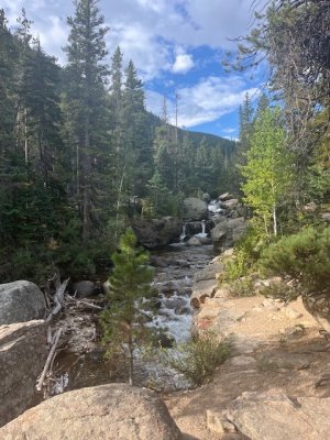 IMG_1425.jpeg IMG_1425.jpeg