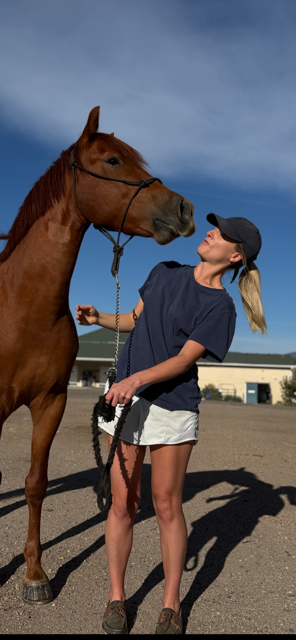 IMG_1456.png IMG_1456.png