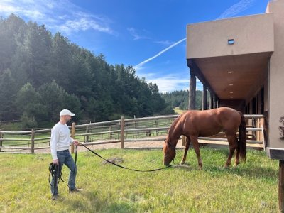 IMG_1460.jpeg IMG_1460.jpeg