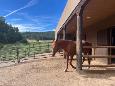 IMG_1469.jpeg IMG_1469.jpeg