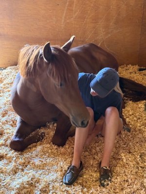 IMG_9165.jpeg IMG_9165.jpeg