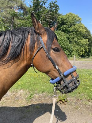 IMG_3480.jpeg IMG_3480.jpeg