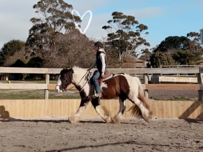 Screenshot 2025-09-09 at 9.13.47 PM.png