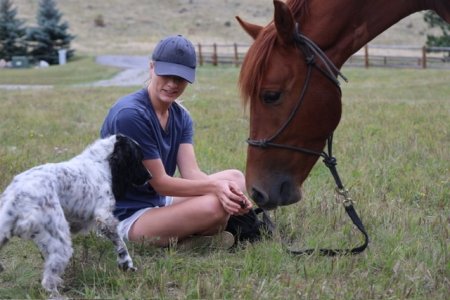 IMG_2342.jpeg IMG_2342.jpeg