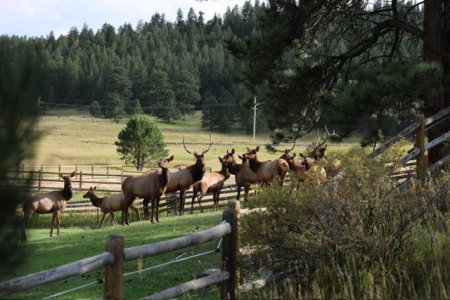 IMG_2410.jpeg IMG_2410.jpeg