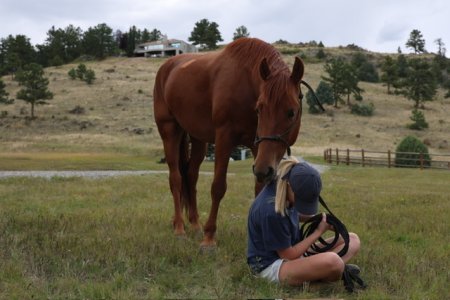 IMG_2315.jpeg IMG_2315.jpeg