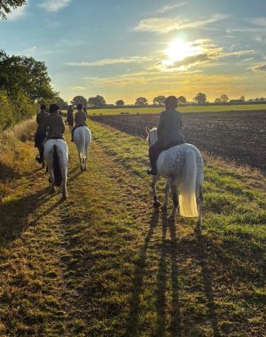 541434553_10230958461449013_3133498171403983140_n.jpg 541434553_10230958461449013_3133498171403983140_n.jpg