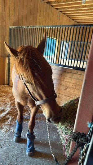 b23615f0-63e6-49d8-9d1e-506721e5ea54.jpeg b23615f0-63e6-49d8-9d1e-506721e5ea54.jpeg