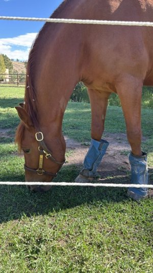 ae9900bf-1c04-4e75-a2f5-7e28e2034eba.jpeg ae9900bf-1c04-4e75-a2f5-7e28e2034eba.jpeg