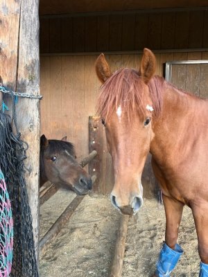 IMG_1649.jpeg IMG_1649.jpeg