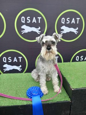 1000029057.jpg 1000029057.jpg