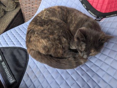 Messenger_creation_6CE02B41-66C8-4168-B8B3-B5559D408129.jpeg Messenger_creation_6CE02B41-66C8-4168-B8B3-B5559D408129.jpeg