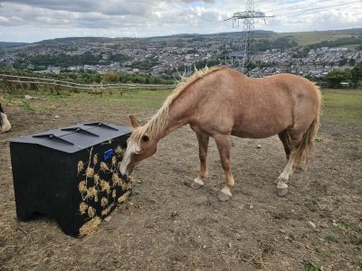 544906990_1120151096918853_3544646300996923363_n.jpg 544906990_1120151096918853_3544646300996923363_n.jpg