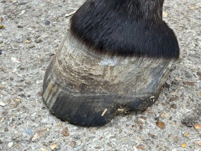 att.88zJGn8FI82CdPur5N-rj4q5NXuAslMN5AmUYpNbo6Y.jpeg att.88zJGn8FI82CdPur5N-rj4q5NXuAslMN5AmUYpNbo6Y.jpeg