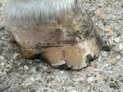 att.F_HZx-a7taHTkNKBZ3vJEAj-pD_JNtM82lvV6QRbuzA.jpeg att.F_HZx-a7taHTkNKBZ3vJEAj-pD_JNtM82lvV6QRbuzA.jpeg