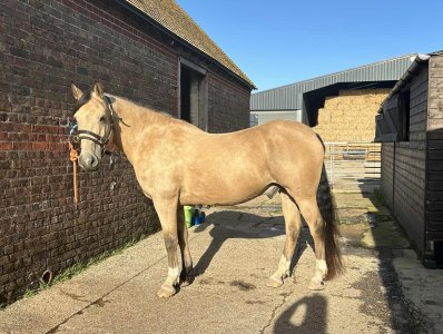 att.a62KIIaghft6nlMvSJRympCvyIfN9QWBGrecc4GGJzY.jpeg att.a62KIIaghft6nlMvSJRympCvyIfN9QWBGrecc4GGJzY.jpeg