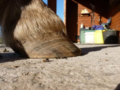 IMG_2832.jpeg IMG_2832.jpeg