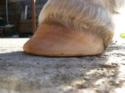 IMG_2831.jpeg IMG_2831.jpeg