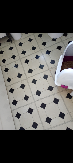 Screenshot_20250916-081248.png Screenshot_20250916-081248.png