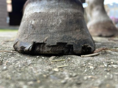 att.X48JRZgkJwzoF1R-uB8n_D7xYwN8wTfXsdMGFLBwm1s.jpeg att.X48JRZgkJwzoF1R-uB8n_D7xYwN8wTfXsdMGFLBwm1s.jpeg