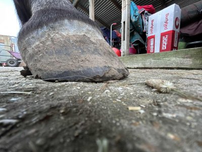 att.kyqTTPsRQrVPEtZ6rM7_Z6Zri6GLSQFr5G1rNKNcN6A.jpeg att.kyqTTPsRQrVPEtZ6rM7_Z6Zri6GLSQFr5G1rNKNcN6A.jpeg