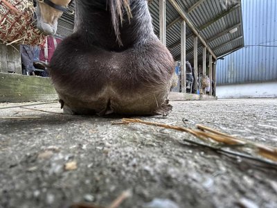 att.JsgjcOeryBCZwGe5MqE1N1FmSY9pHPnflQJh3vXmNbc.jpeg att.JsgjcOeryBCZwGe5MqE1N1FmSY9pHPnflQJh3vXmNbc.jpeg