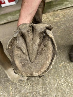 att.TADy4s84QZlPkZB-Z0Lo8LgWpzAppu33edxSuksZO_Q.jpeg att.TADy4s84QZlPkZB-Z0Lo8LgWpzAppu33edxSuksZO_Q.jpeg