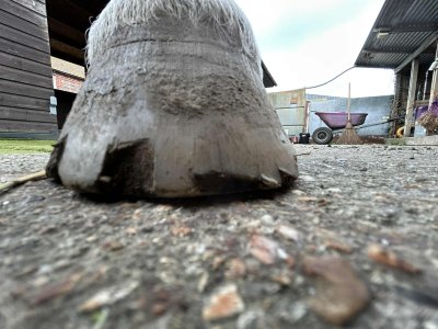 att.tOZ-A3bNi96xslg69lufSmMXlFOkgsODF08lr6WtS10.jpeg att.tOZ-A3bNi96xslg69lufSmMXlFOkgsODF08lr6WtS10.jpeg