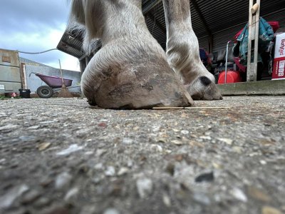 att.XVbFz843or0Sn0VgoucGPqqMRD454tsLOS-IiACXDEw.jpeg att.XVbFz843or0Sn0VgoucGPqqMRD454tsLOS-IiACXDEw.jpeg