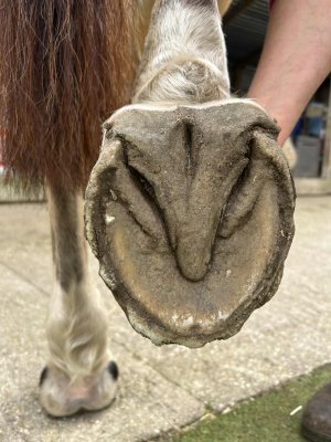 att.amNdHgBsnMEh8cvcGJvK3ntktbWMPAn3YMtYgeu5A0o.jpeg att.amNdHgBsnMEh8cvcGJvK3ntktbWMPAn3YMtYgeu5A0o.jpeg