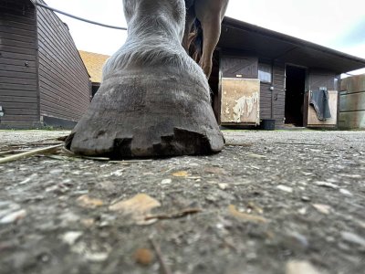 att.zWRMcL551DacxDJaWt6vPrrWUCxEyqg_7IIvykEFKIw.jpeg att.zWRMcL551DacxDJaWt6vPrrWUCxEyqg_7IIvykEFKIw.jpeg