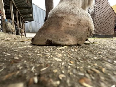 att.IlcI6FoWSlOidY52JNZ2mBanyfHdyiDGtZBP6lZd8bQ.jpeg att.IlcI6FoWSlOidY52JNZ2mBanyfHdyiDGtZBP6lZd8bQ.jpeg