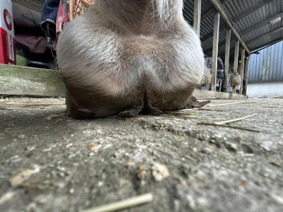 att.D65Hfj7uRdkT_L2HdCvwEHLcP4c1-sR05yRAYo7GZ5g.jpeg att.D65Hfj7uRdkT_L2HdCvwEHLcP4c1-sR05yRAYo7GZ5g.jpeg