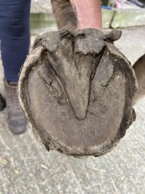 att.3L0DmDYpn6vI0331yWUZ9m5eUxGQlx3WHd1Q-rJ7I6k.jpeg att.3L0DmDYpn6vI0331yWUZ9m5eUxGQlx3WHd1Q-rJ7I6k.jpeg