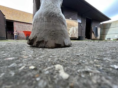 att.dw_PyaMw0dh3AWRqFhrUzYswjdse_0CqF0d9fLsdcb4.jpeg att.dw_PyaMw0dh3AWRqFhrUzYswjdse_0CqF0d9fLsdcb4.jpeg