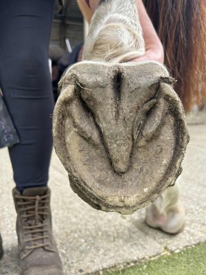 att.san52sT_r8c8qmbYN89k7sdZsinGWxRWzgGpcvxJKHQ.jpeg att.san52sT_r8c8qmbYN89k7sdZsinGWxRWzgGpcvxJKHQ.jpeg