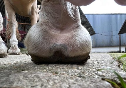 att.LLNhelIKyZcNYbvyddwKjsa1UPeEaYH0-fbS6XNp_MY.jpeg att.LLNhelIKyZcNYbvyddwKjsa1UPeEaYH0-fbS6XNp_MY.jpeg