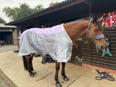 IMG_9533.jpeg IMG_9533.jpeg