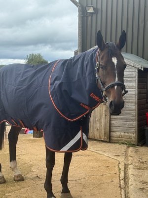 IMG_3302.jpeg IMG_3302.jpeg