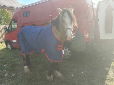 IMG_5682.jpeg IMG_5682.jpeg