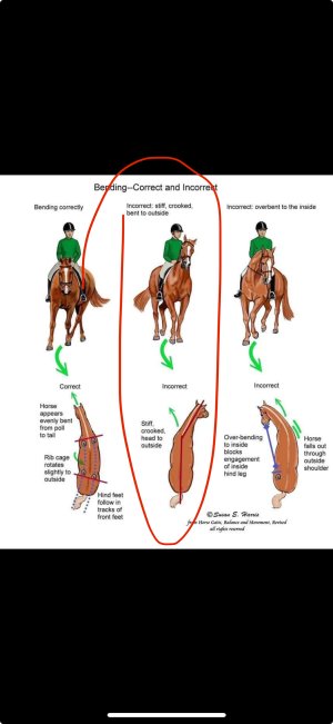 IMG_8532.jpeg IMG_8532.jpeg