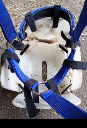 Screenshot_20250919-184148~2.jpg Screenshot_20250919-184148~2.jpg