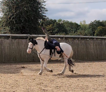 1758304889530.png 1758304889530.png