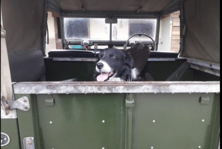 20250919_215204.jpg 20250919_215204.jpg