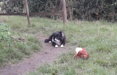 20250919_215030.jpg 20250919_215030.jpg