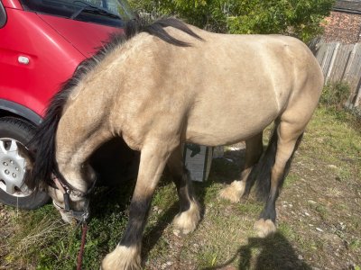 IMG_5683.jpeg IMG_5683.jpeg