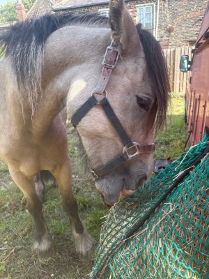 IMG_5657.jpeg IMG_5657.jpeg